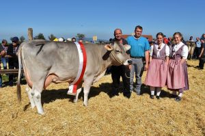 k-12 Miss OB Hfe